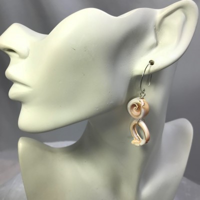 Swirl Shell Earrings